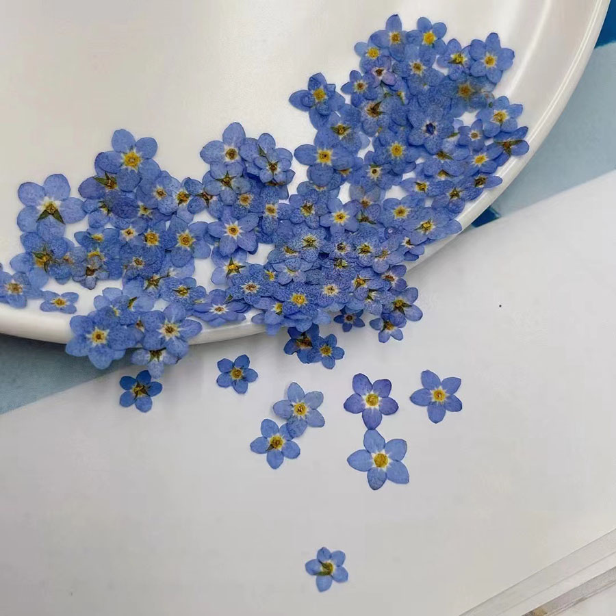 ดอกไม้แห้งขนาดเล็ก 60 ชิ้น – อ - Resin Art Case บทวิจารณ์และราคา